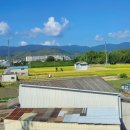 숲의머무룸 | 오사카여행 2일차~토롯코 산악열차 교토 아라시야마 치쿠린 대나무숲 %(응)커피~