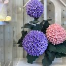 클레이&종이공작소 이미지