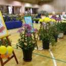 솔안초등학교 이미지