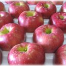 청송농장 이미지