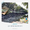 문천리 화장실 | 공주 원더팜 평상대여 내돈내산 후기｜3동 수국정원관 308호 이용 후기 및 계곡 수심, 주차, 편의시설...