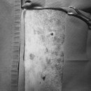 24시 양주 힐 동물의료센터 이미지