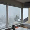 산정부페 이미지