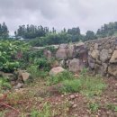 햇빛행정사 이미지