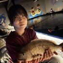 원실내바다낚시터 이미지