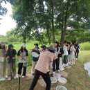 20250704_일생에코다이브_공주여자중학교_성옥경_오전17명 이미지