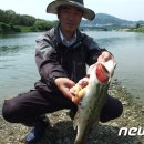 울산잠수