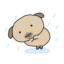 도도프라이빗펜션 이미지