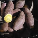 건강이농장 이미지