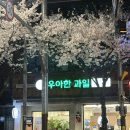 씨유역삼벚꽃길점 | 우아하게 과일 즐기기!woo ah~가 절로 나오는 고당도 과일 맛집!과일 강남역 카페[우아한 과일 강남역삼점]