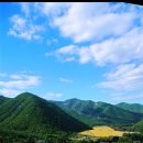 신화랑풍류숲길 이미지