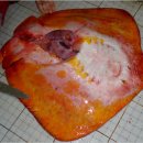 아싸가오리 이미지