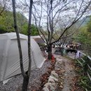 양산 무릉도원 캠핑장 B8 솔직 후기 및 사이트 소개