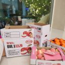 노엘농장 이미지