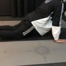 에이플 프리미엄 피티 이미지