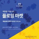 더 플로잉 이미지