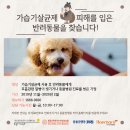 시민기획강좌 교육연극으로 만나는 (나이)듦과 삶(의 완성) | 2019.11.14 A등급을 받은 스위스의 동물보호법