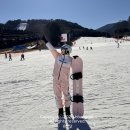 11500-13-50-09 | 용평리조트 렌탈샵 뽀드득 모나 용평리조트 강원도 스키장 후기