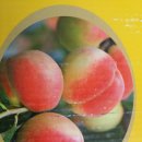 녹천농장 이미지