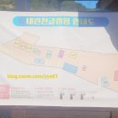 내린천 글램핑 이미지