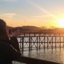 가곡로(풍천면) 이미지