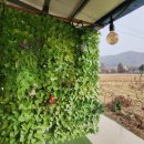 여로민박 이미지