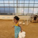 한세농장 | 19개월 아기 시원한 여름원피스 모이몰른 신상 썸머오션쿨링나시원피스 실착 후기