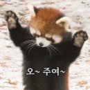 지율한복 | 삼청각 일화당 11월 예식 견적 후기