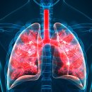 주식회사 썬메디케어 이미지