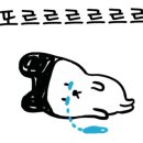 오바마 연탄소금구이 이미지