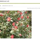 수림농장 이미지