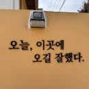 성복2로252번길 | 용인 수지 성복동 미용실&#39;샵루다 2호점&#39;손상모집중케어 클리닉 솔직후기 반려동물동반 주차