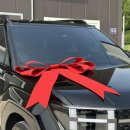 김포한강11로-L 이미지