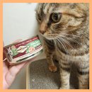 고양이 습식사료, 곡물과 감자 없는 습식캔 카니러브