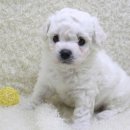 구월2동-16 이미지