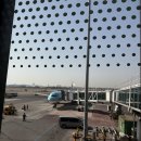 (주)맥스렌터카 | [제주도 태봉왓 캠핑장]3월 솔캠 첫 백패킹 가파도 1박2일로 갔다가 3박4일 캠핑 한 썰푼다