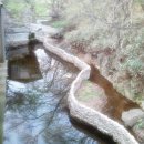 칠현산 숲거리 이미지