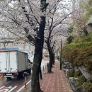 덕진-51 | 부산에서 전주 프리미엄 고속버스 후기 + 전주한옥마을 벚꽃 후기 + 전주더메이호텔 웨딩 뷔페 후기