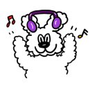 까데호 콘서트 이미지