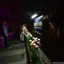 광명동굴 Daum카페