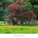 예쁘다 경주 이미지