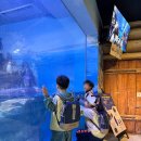 대구아이누리유치원 이미지