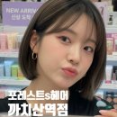 현아미용실 | [까치산미용실] 포레스트s헤어 현아쌤의 단발 성지! 화곡미용실 강서구미용실 1등 후기 🌿