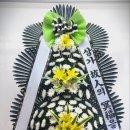 에버그린 플라워 이미지