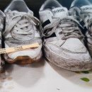 정성 운동화 빨래방 이미지