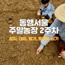 준아농장 | 동행 서울 친환경농장 2023년 주말농장 2주차 (수역이농장)