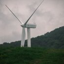 평창골프존 이미지