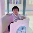 메타시티 대구점 | 롯데백화점 대구점 대형 키즈카페 &#39;메타시티&#39; 이용 후기
