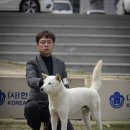 훈이애견