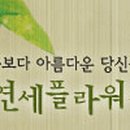 서울연세치과의원 이미지